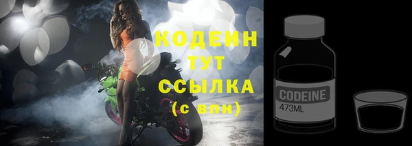 гашик Надым
